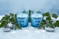 Arctic Ivy Candle Set